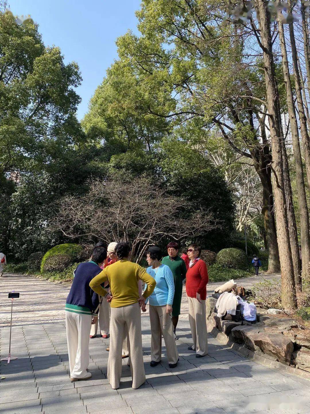 边拍边画丨告别阴霾,邂逅在春光明媚中_人民公园_周菲_人们