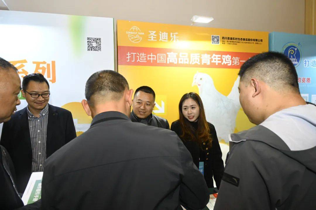 格局与应变未来规模蛋鸡发展与三种行业主流服务模式