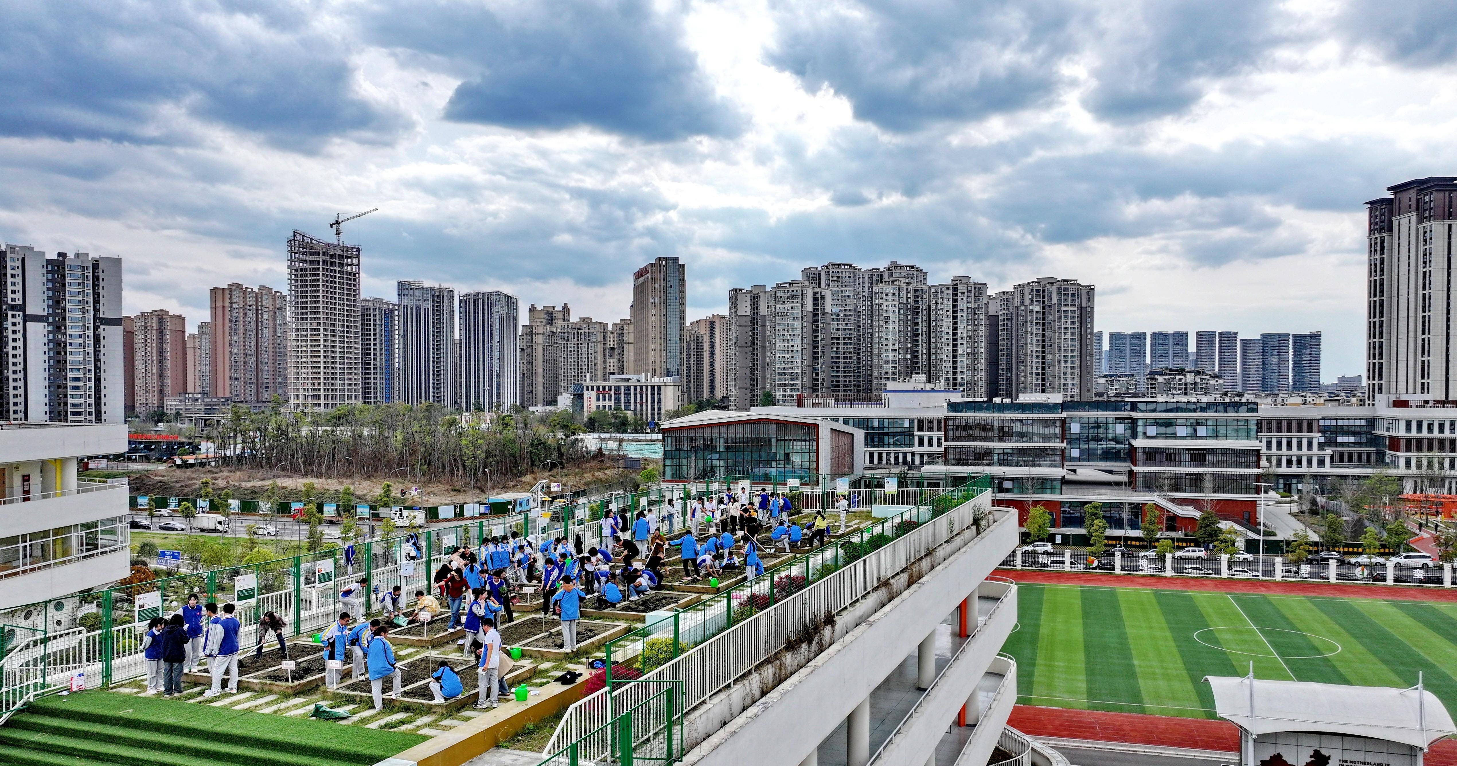 校园楼顶农田忙春播