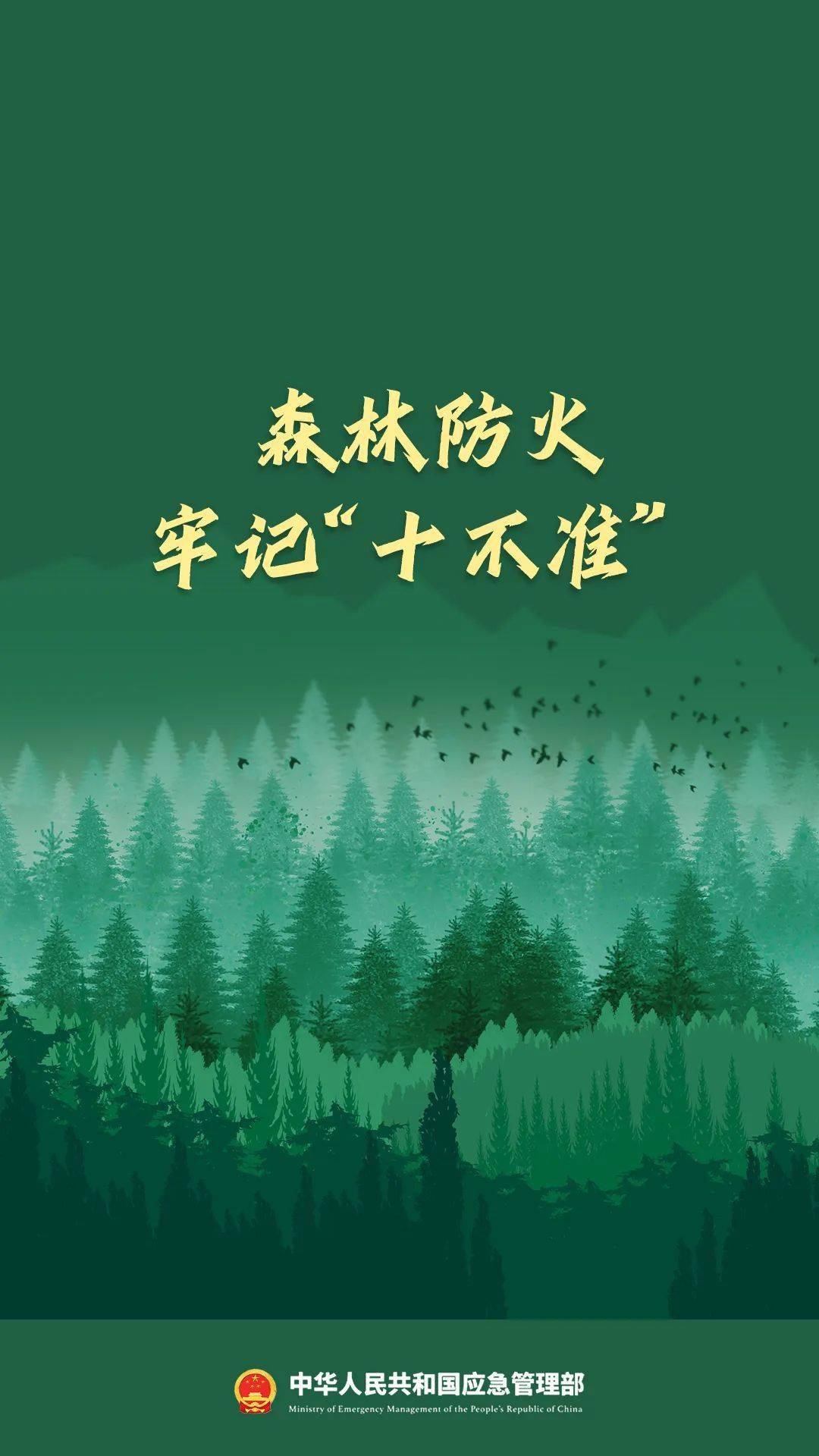 森林防火"十不准"_朝阳县_来源_微信