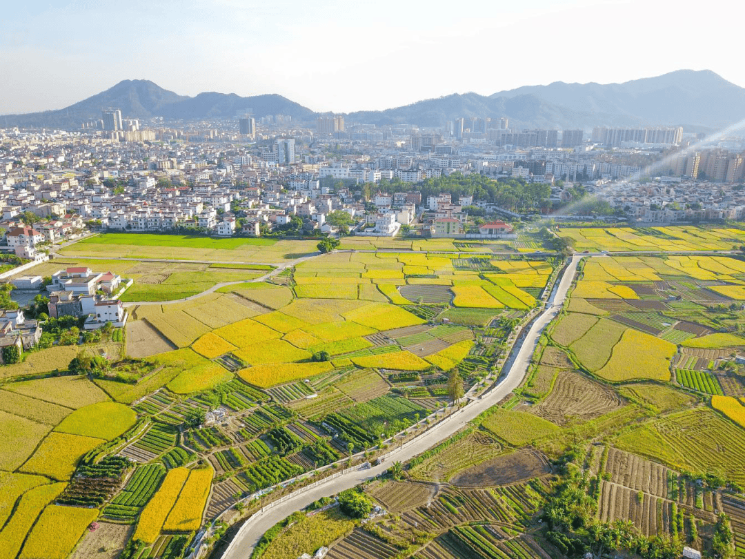 全国先进三乡上榜