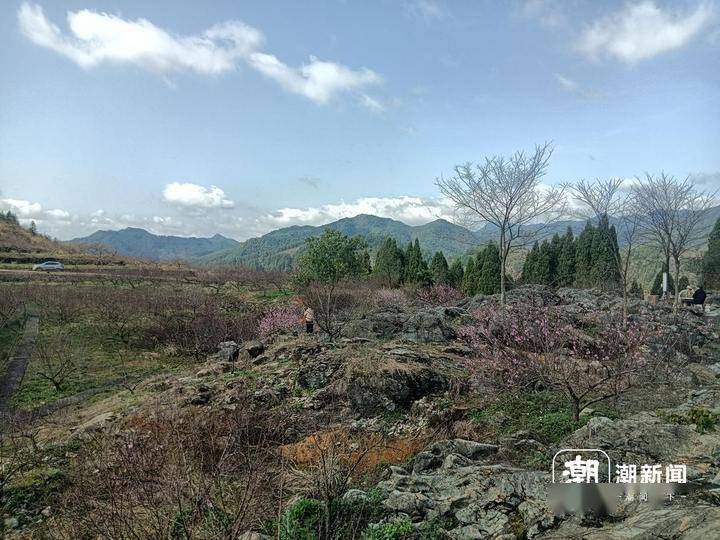 平安坐标 | 偏远山村的平安与振兴,离不开一句"早上好"_塘村_陈重良