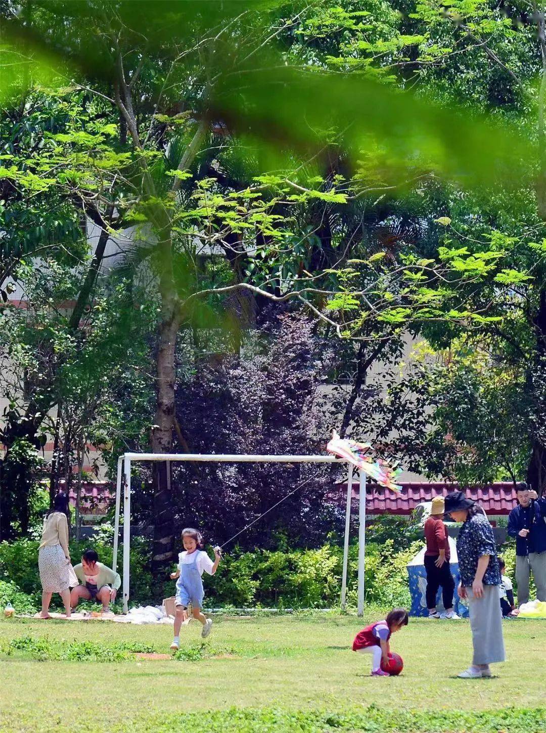 跟着山海勇士出游用脚步丈量五桂山的春天