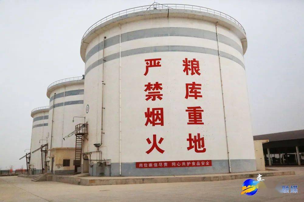 嘉峪关的粮仓"智慧化大变身",还有千里眼"问诊"_粮库_信息化_储备