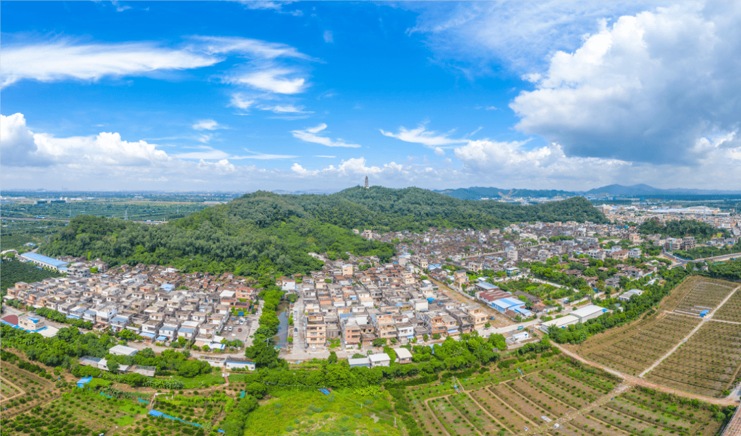 "稀客"来江门啦!欢迎"小精灵"~_中华_地区_自然保护区