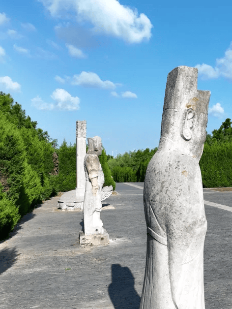 草庙_天长市_茉莉花