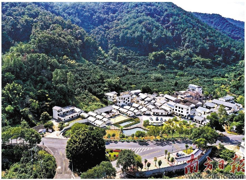 南方日报记者 何森垚 摄"党员先锋林"等一片片主题林在梅县大地"安家