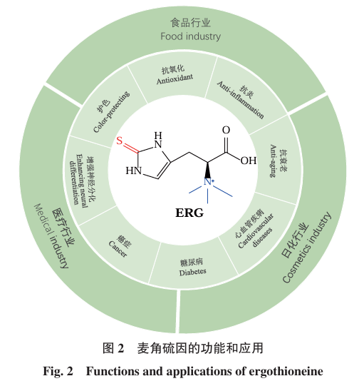 亮点文章 | 生物合成法生产麦角硫因的研究进展