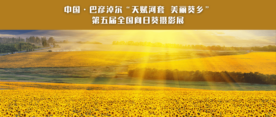 中国向日葵之乡图片