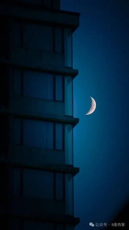 繁星看月亮