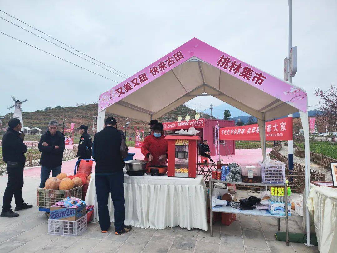 桃花节在际面村浪漫开启~_古田县_程雨凝_宁德