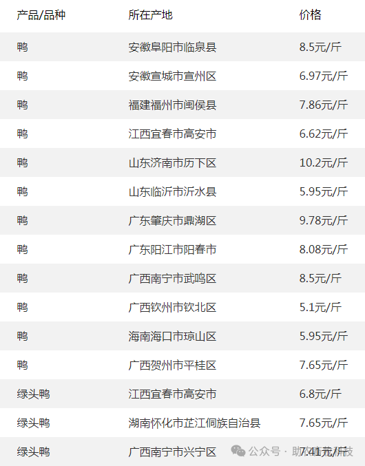 鸭头批发价多少钱一个