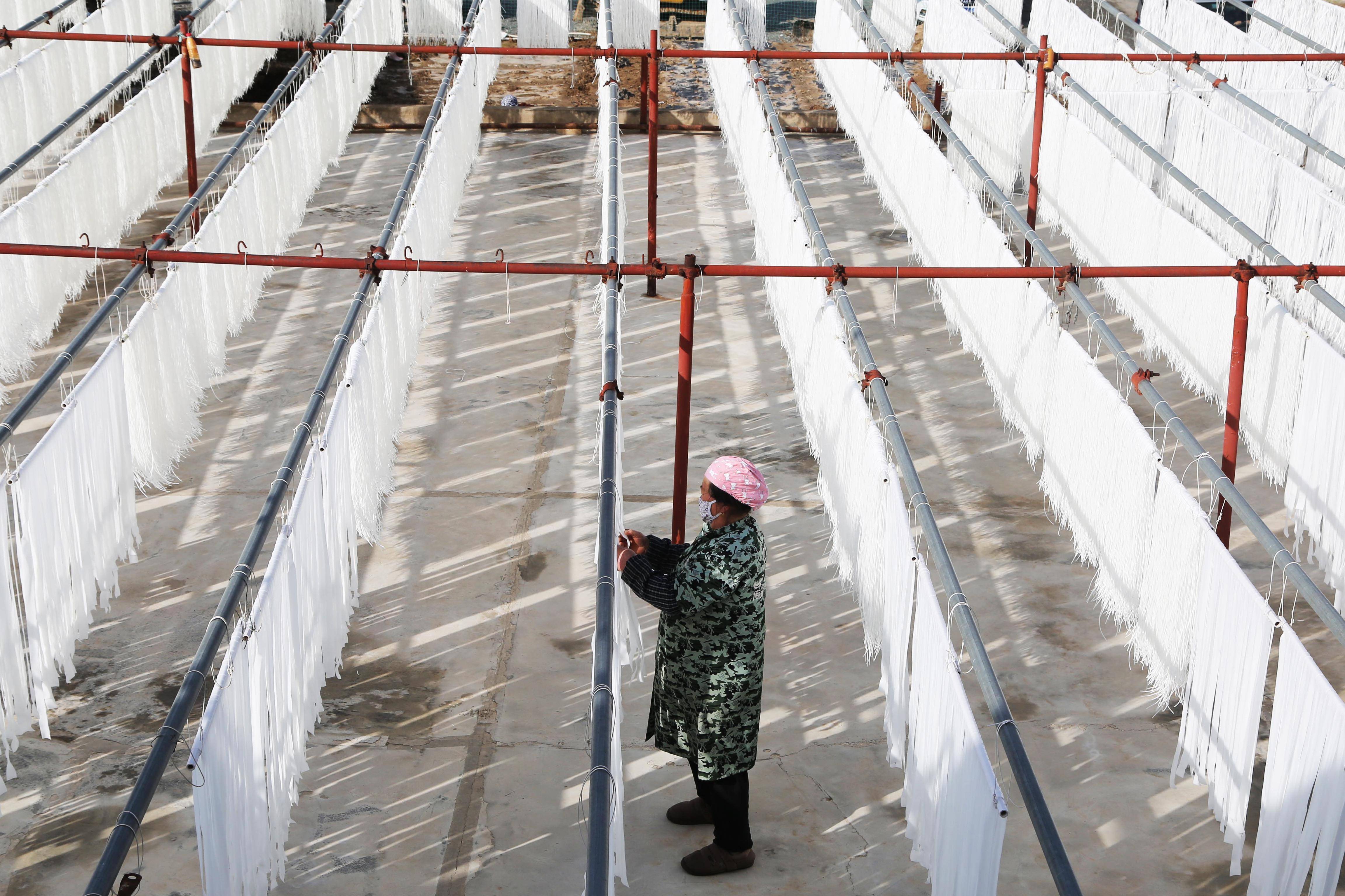 甘肃定西:"定西宽粉"企业加班赶订单#_加工_新华社_