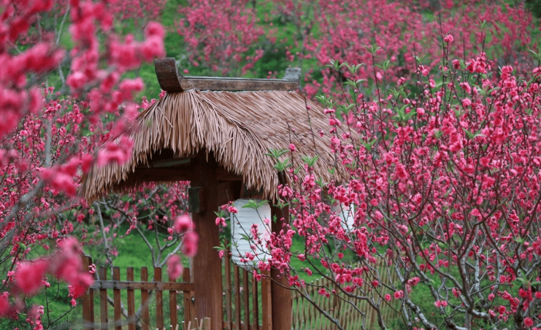 广西三月三假期去哪玩南宁五条旅游精品线路出炉