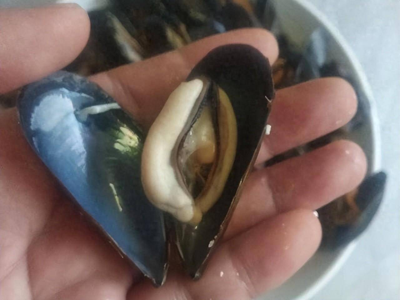 往年热销的海虹,今年为啥吃的人少了?海鲜摊贩:4个原因,很现实