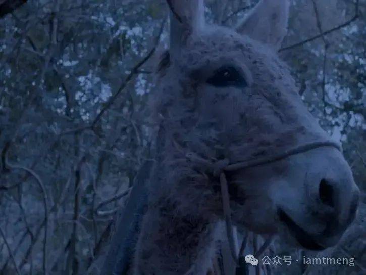 2024德国奥伯豪森国际短片电影节45部入围作品名单公布国际竞赛