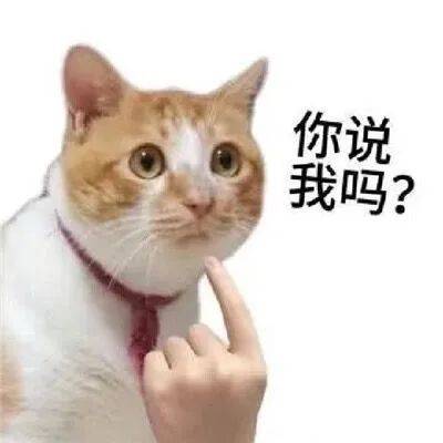 你说我吗