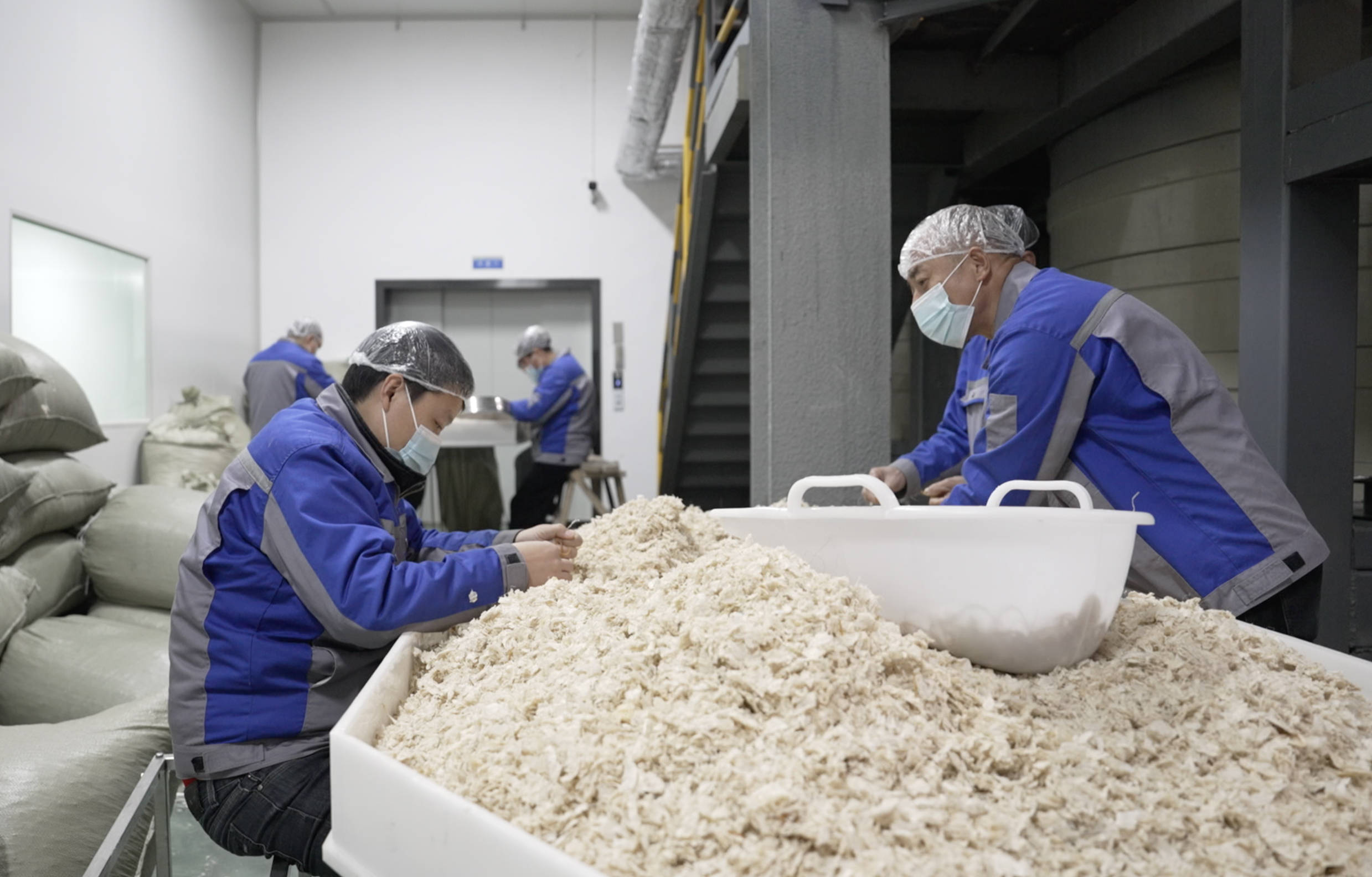 它们是保健品和动物饲料的重要原材料,也是药品中间体和食品添加剂.