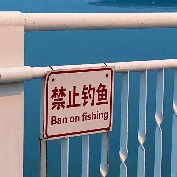 “上班别看!容易笑出声”_世界_清醒_主流