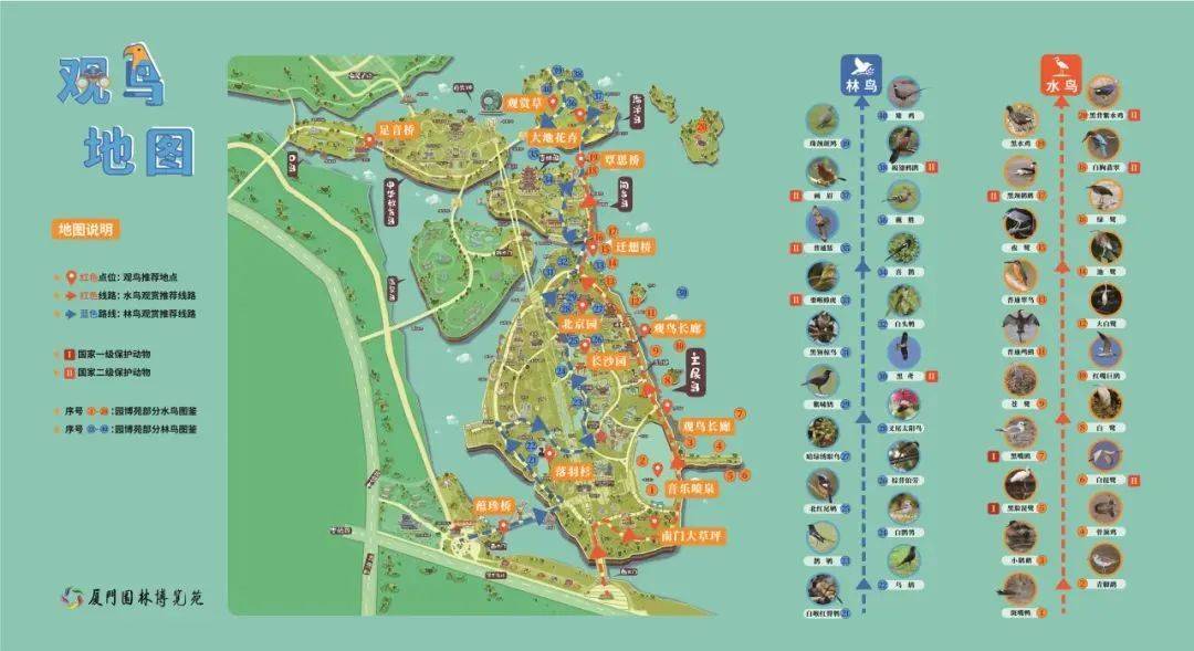 以上图源:林斌享观鸟指南林鸟及其出没地点厦门万石植物园:寿带,燕隼