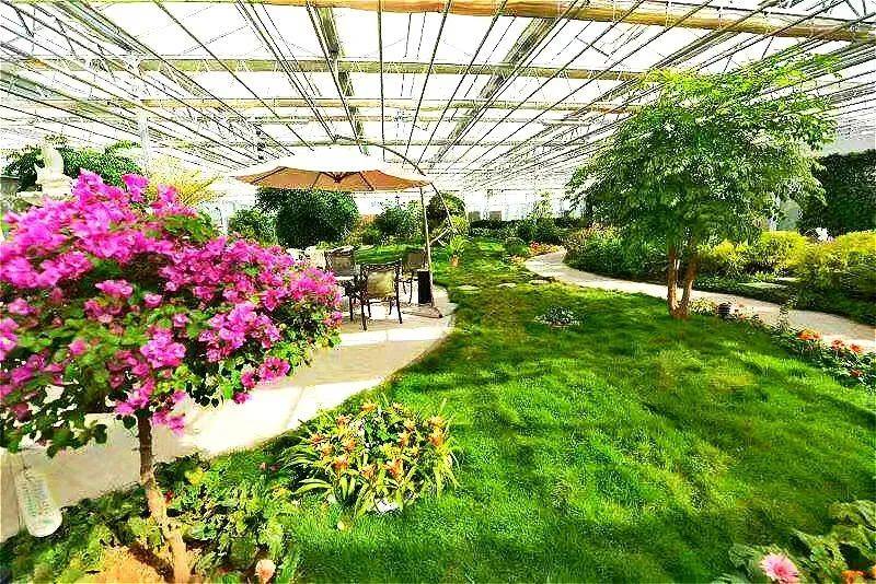 来自内蒙古的春天之邀踏青赏花探古韵临河区春季旅游路线