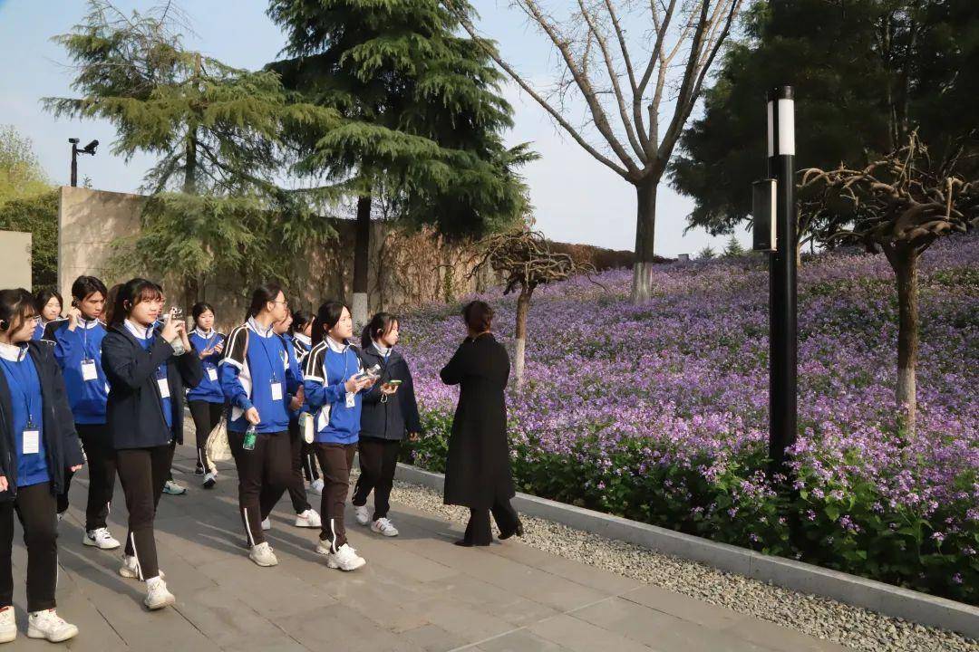 值得一提的是,当师生们从"万人坑"遗址出来,和平公园里阳光下的紫金草
