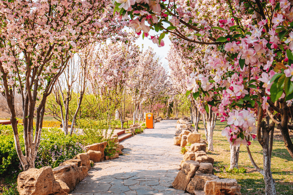 解锁春日浪漫属于生态城春天的十件小事
