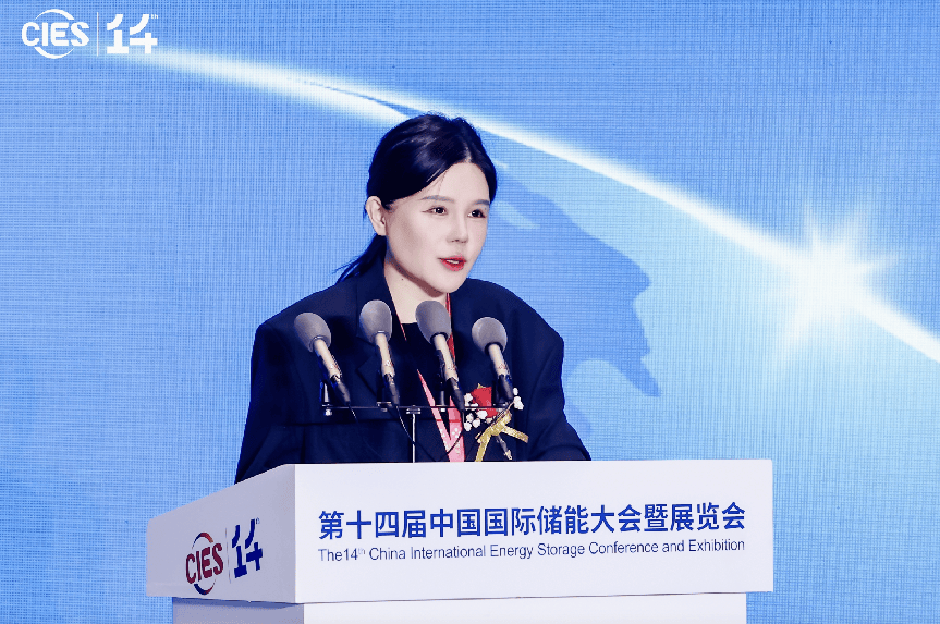 "她"力量引领,上海新能源行业又诞生一独角兽_储能_美克_魏琼