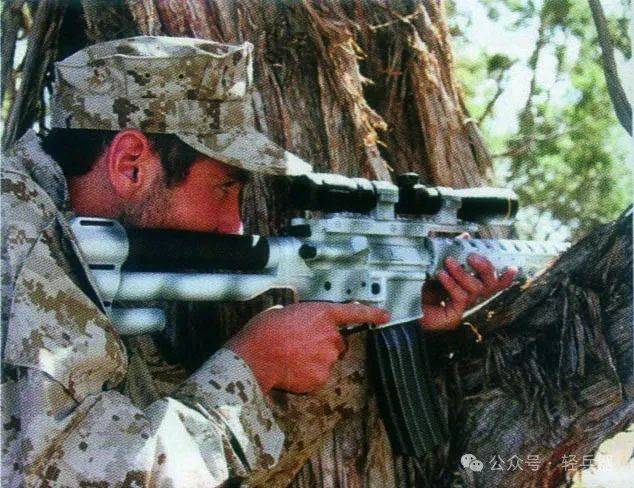 3600刀买到一款卡宾枪长度的狙击步枪性价比如何