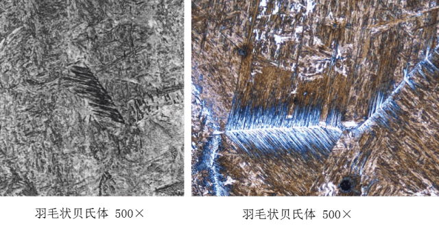 金属材料的内心世界