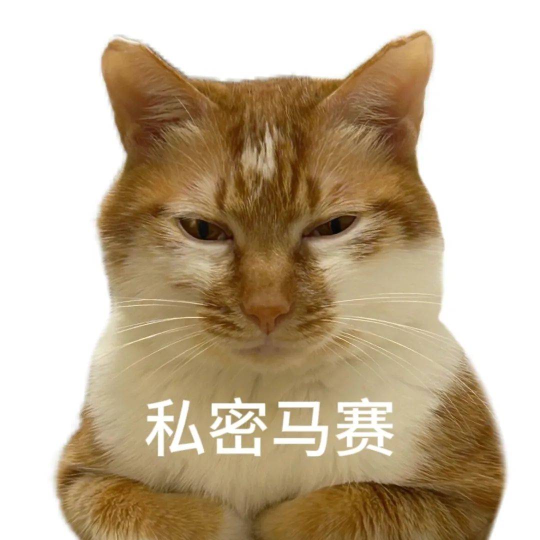 表情包丨高频使用的万能表情包