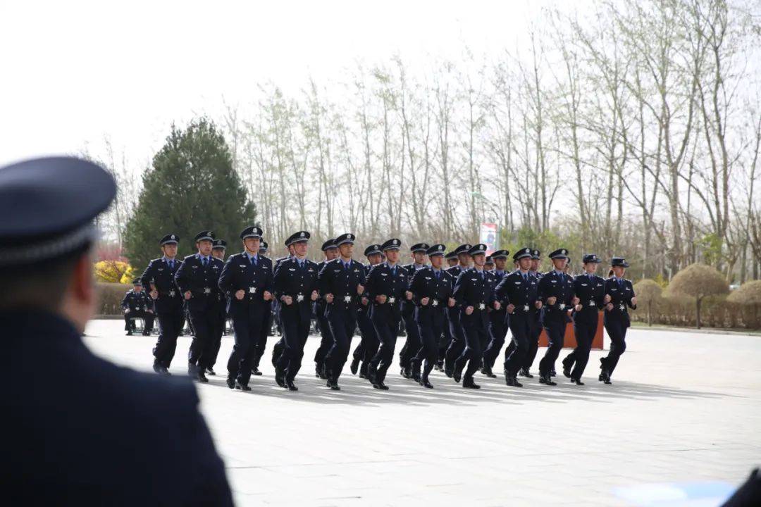 特警力量英姿勃发特显风采天津市公安局特警总队组织开展2024年度队列