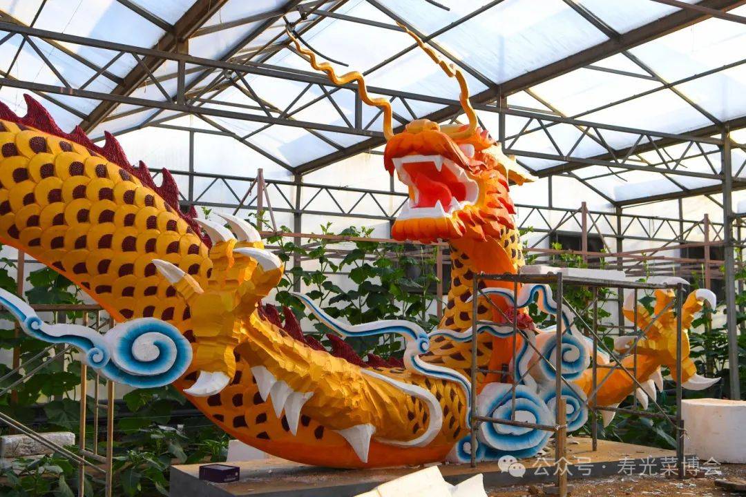 今年菜博会的创新亮点变化看过来