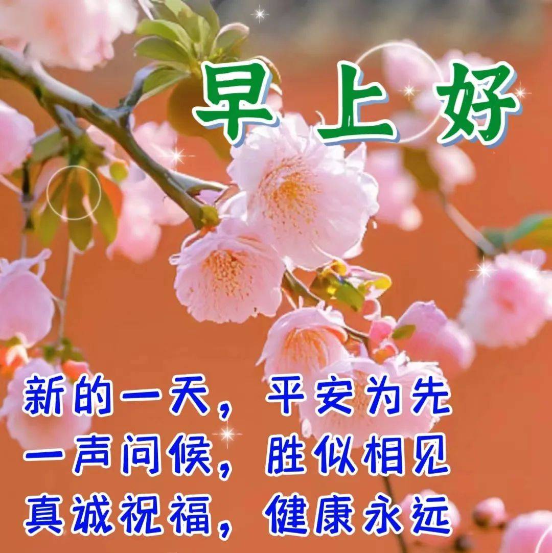 早上好问候温暖图片,最新早上好特漂亮祝福图_朋友