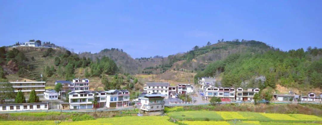 活动报名生态坝羊幸福茶乡欢迎你走进100个美丽乡村第39站紫云坝羊新