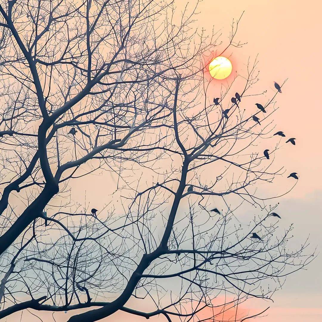 背景图超级喜欢ins背景图