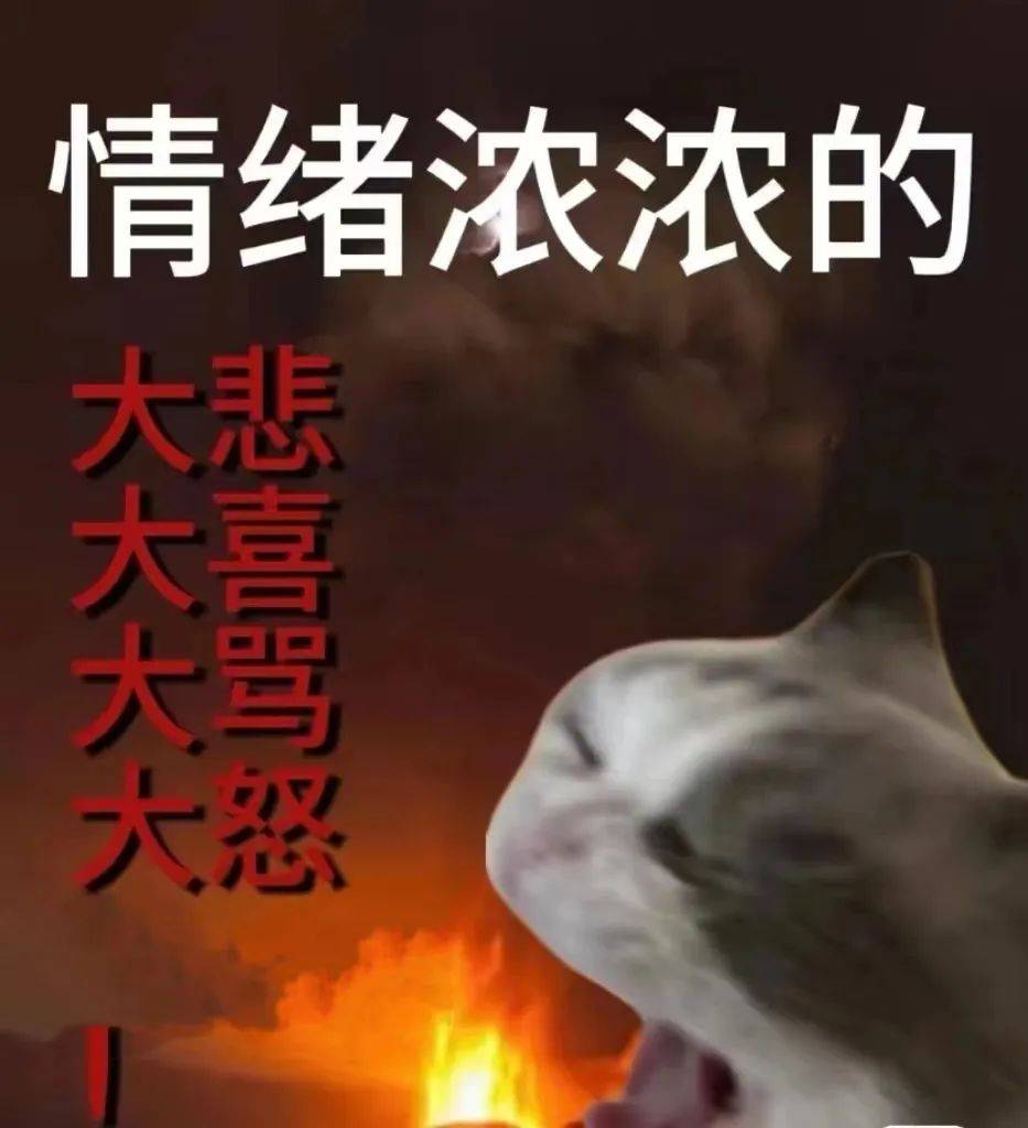 来源:神金小猫"淡学"照见着年轻人价值追求的悄然变化正如此前引起