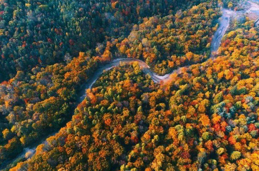 吉林长白山世界地质公园获批列入世界地质公园网络名录