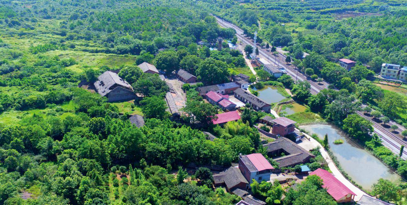 全国第三批乡村治理示范村(井头圩镇古楼兰家村整体风貌)紫溪市镇农村