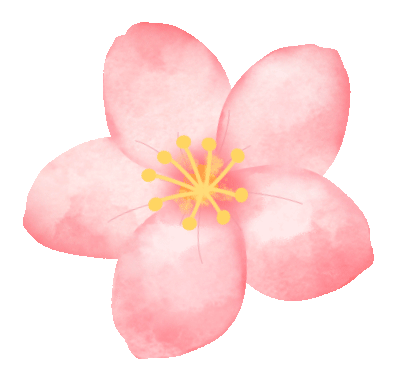 春风拂面花开smile