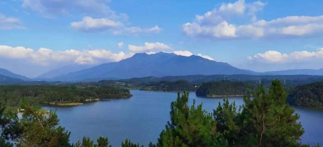 据了解,商城县铁佛寺省级湿地公园位于商城县城东南,以铁佛寺水库为