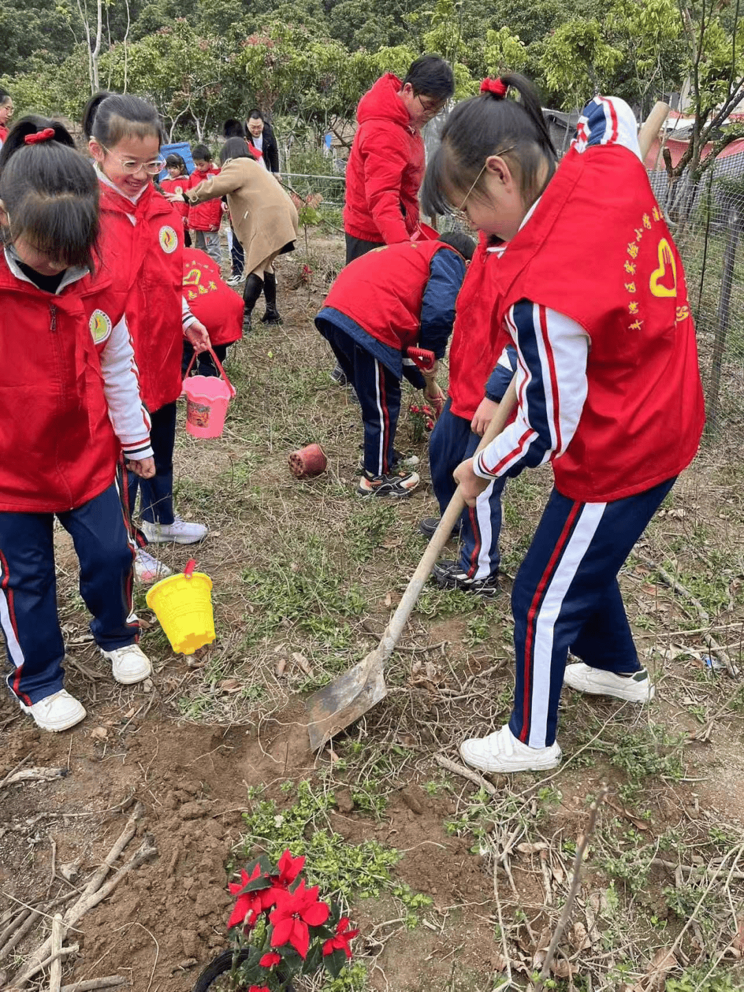 丰泽区第三实验小学图片