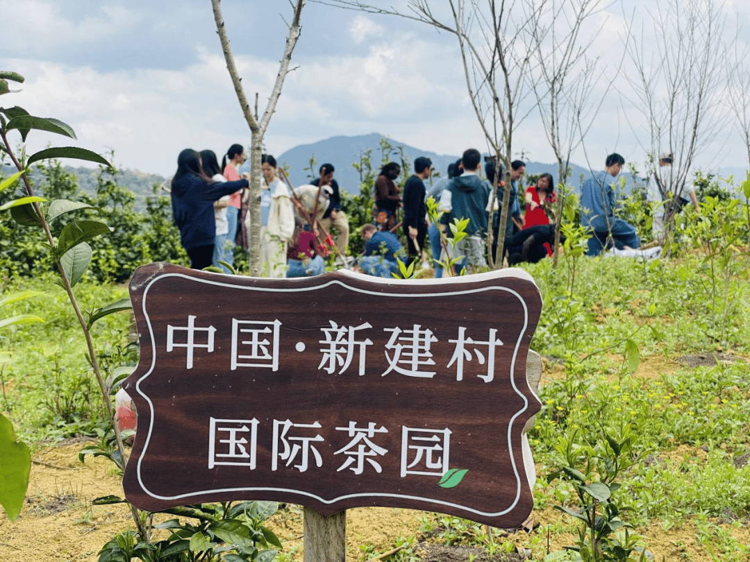 新建村党支部书记赖文达积极招商引资,充分结合新建村身处大芹山脉,山