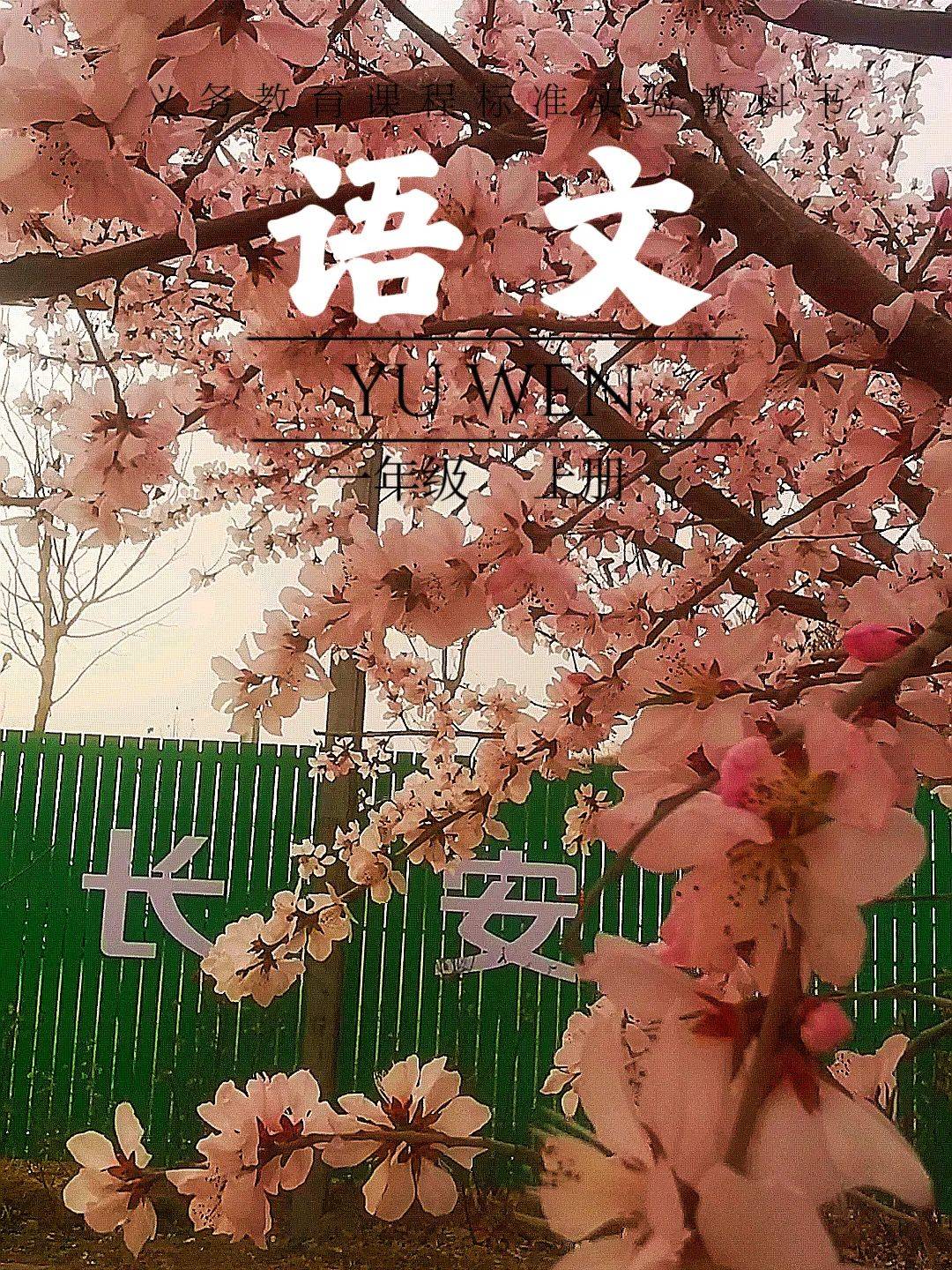 壁纸 花 桌面 1080_1440 竖版 竖屏 手机