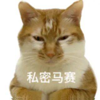 哭着离开丨第955期喵表情包
