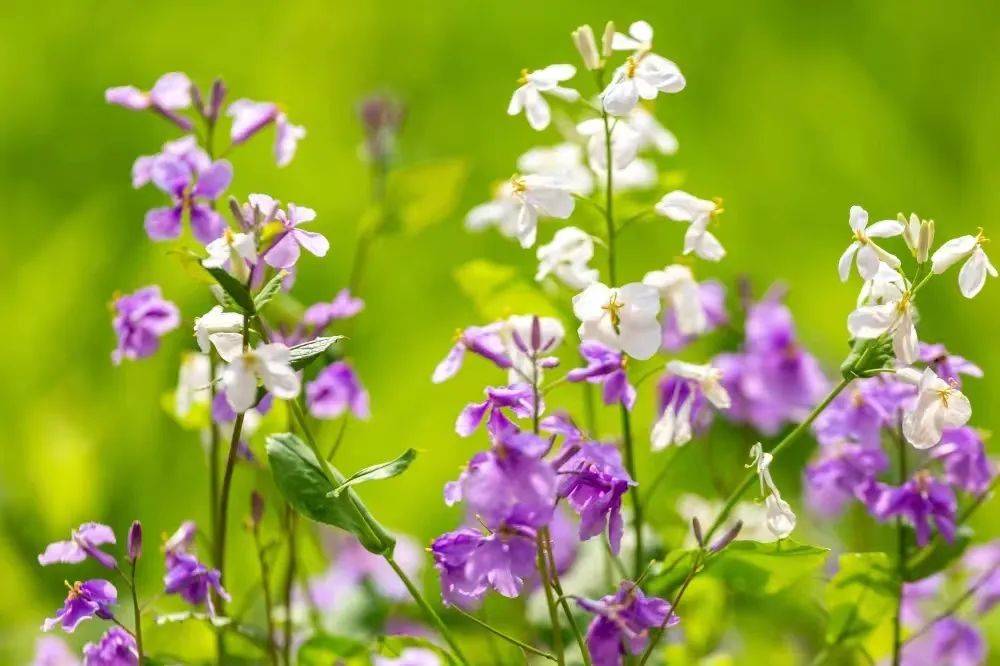 试过了在北京朝阳公园20分钟理论是真的