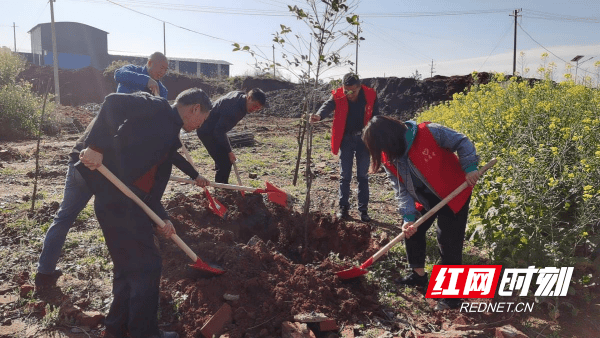 邵阳县谷洲镇三举措推动党员冬春训见实效