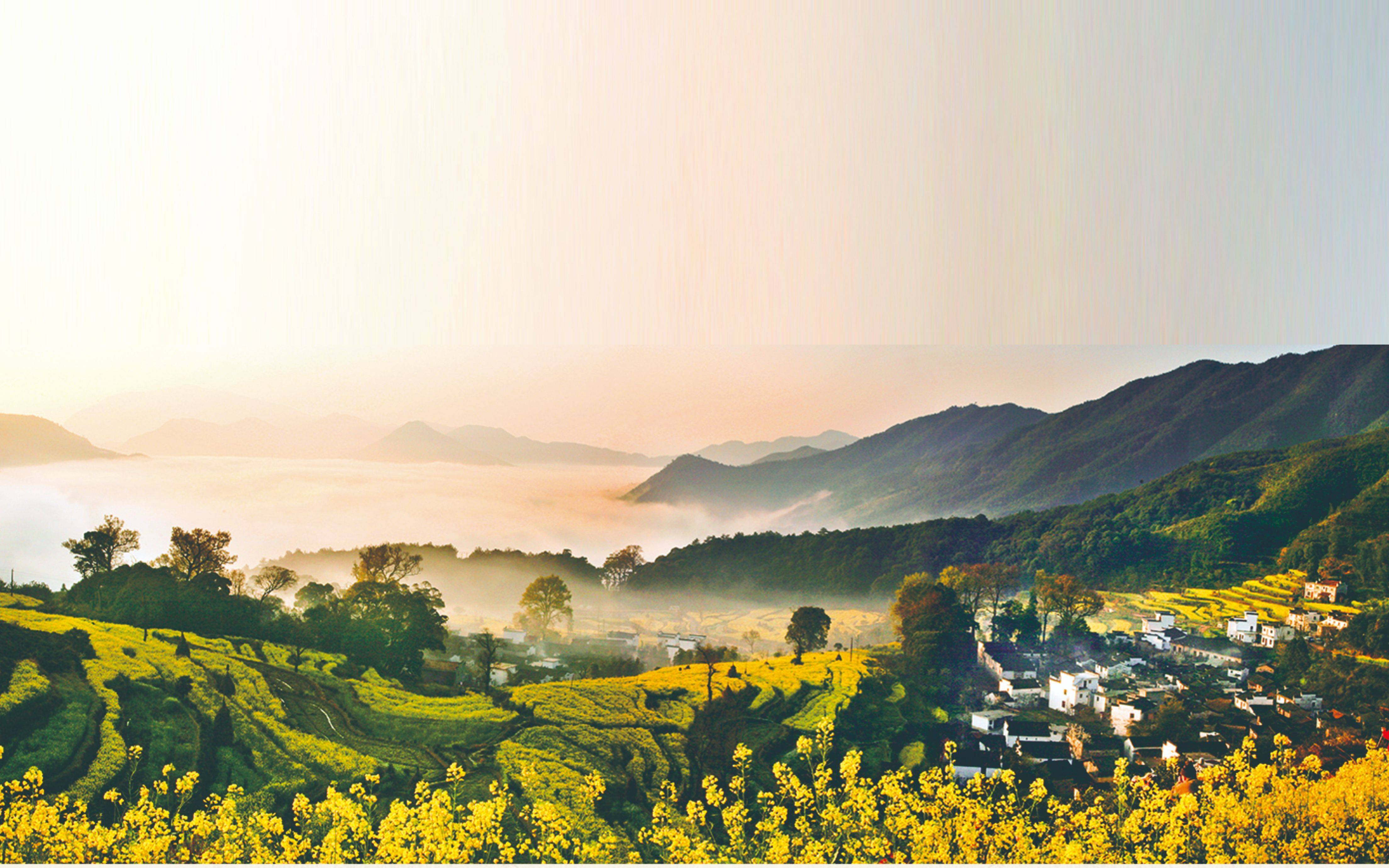 在著名的油菜花海所在地江西婺源,种了半辈子油菜的张成功,至今还不