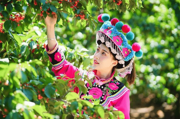 云视角平均3天一个节疯狂的四月云南人的节日根本过不完