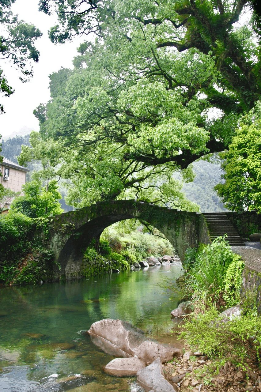 浙江唯一免费的5a古镇不要只会去乌镇人挤人了白居易疯狂表白美到窒息